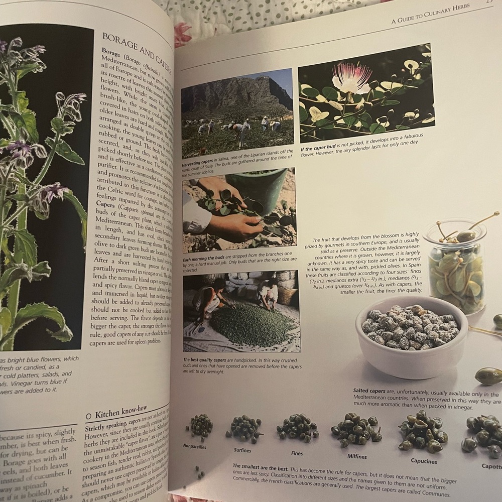 The Herbs and Spices Cookbook - Picture 8 of 8